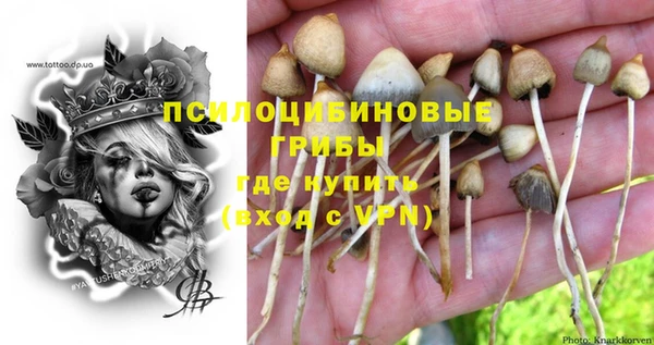 круглые Богданович