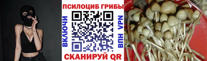 магазин продажи наркотиков  Козловка  ссылка на мегу как войти  Псилоцибиновые грибы GOLDEN TEACHER 